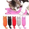 Rustle Sound Catnip Toy Cats Products for Pets Cute Cat Toys for Kitten Teeth Grinding Cat Plush Thumb Pillow Pet Accessories